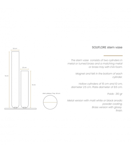 Couple de Soliflores  en Laiton ou Métal laqué