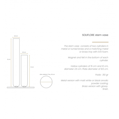 Couple de Soliflores  en Laiton ou Métal laqué